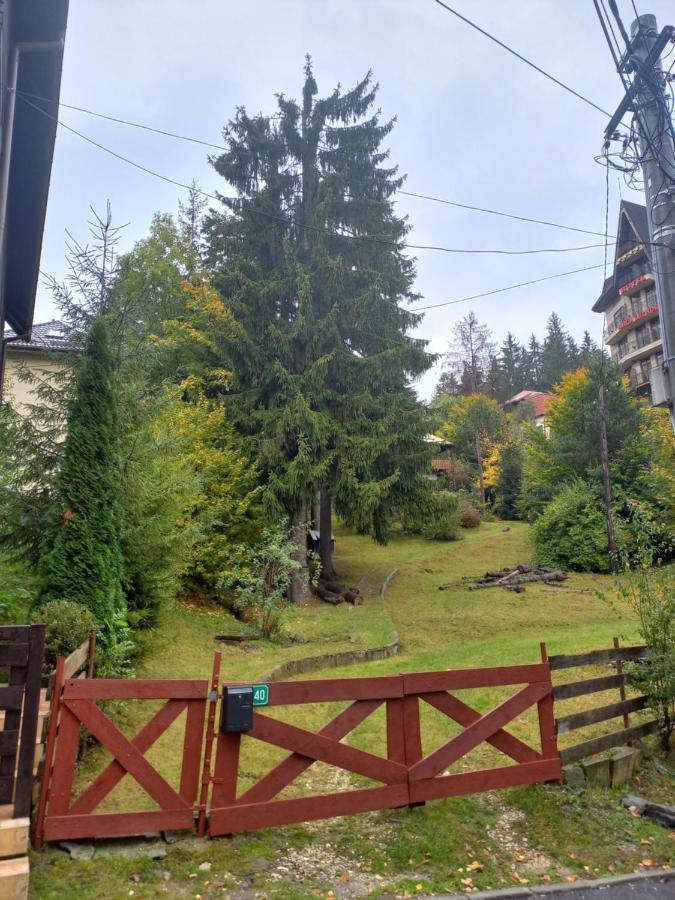 Apartament Aosta Central Sinaia Exterior photo