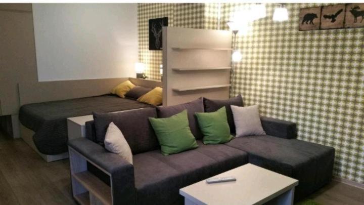 Apartament Aosta Central Sinaia Exterior photo
